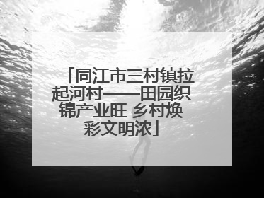 同江市三村镇拉起河村——田园织锦产业旺 乡村焕彩文明浓