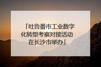 吐鲁番市工业数字化转型考察对接活动在长沙市举办