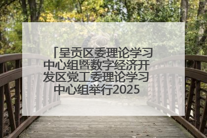 呈贡区委理论学习中心组暨数字经济开发区党工委理论学习中心组举行2025年第七次学习会议