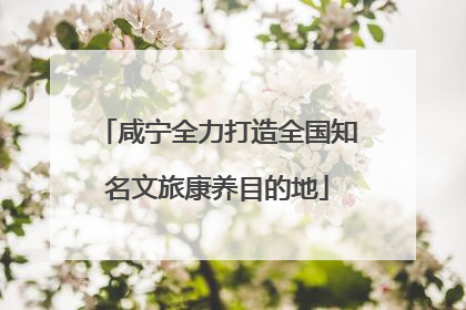咸宁全力打造全国知名文旅康养目的地