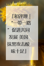 和评理｜“一带一路”促进共同发展 美国抹黑攻击酸味十足
