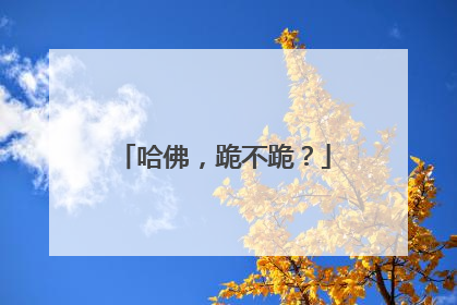 哈佛，跪不跪？
