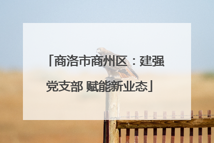 商洛市商州区：建强党支部 赋能新业态