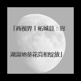 商视界丨柘城县：容湖湿地葵花竞相绽放