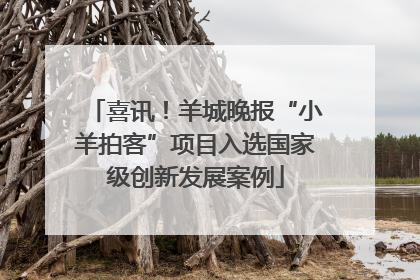 喜讯！羊城晚报“小羊拍客”项目入选国家级创新发展案例