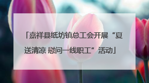 嘉祥县纸坊镇总工会开展“夏送清凉 慰问一线职工”活动