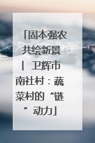 固本强农 共绘新景 ︳卫辉市南社村：蔬菜村的“链”动力