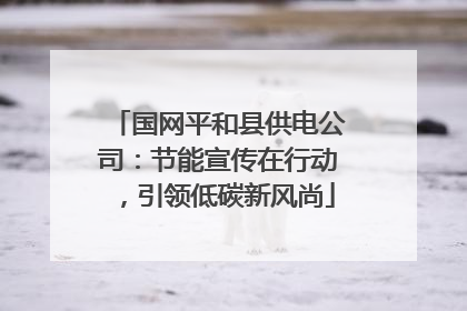 国网平和县供电公司：节能宣传在行动，引领低碳新风尚