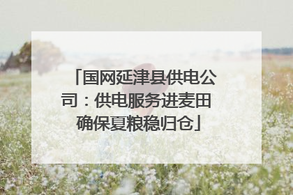 国网延津县供电公司：供电服务进麦田 确保夏粮稳归仓