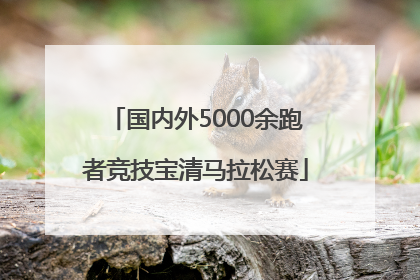 国内外5000余跑者竞技宝清马拉松赛