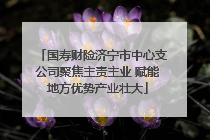 国寿财险济宁市中心支公司聚焦主责主业 赋能地方优势产业壮大