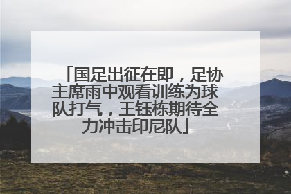 国足出征在即，足协主席雨中观看训练为球队打气，王钰栋期待全力冲击印尼队