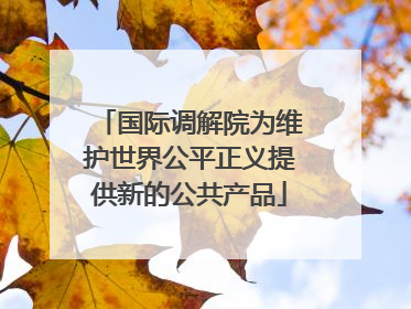 国际调解院为维护世界公平正义提供新的公共产品
