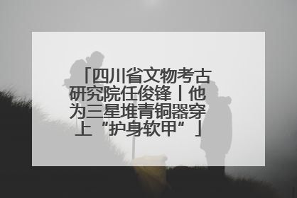 四川省文物考古研究院任俊锋丨他为三星堆青铜器穿上“护身软甲”