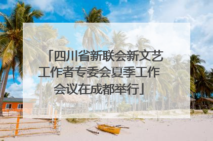 四川省新联会新文艺工作者专委会夏季工作会议在成都举行