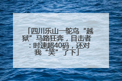 四川乐山一鸵鸟“越狱”马路狂奔，目击者：时速超40码，还对我“笑”了下