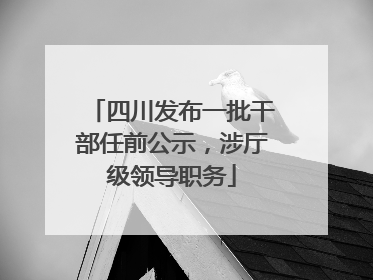 四川发布一批干部任前公示，涉厅级领导职务