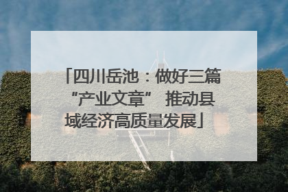 四川岳池：做好三篇“产业文章” 推动县域经济高质量发展