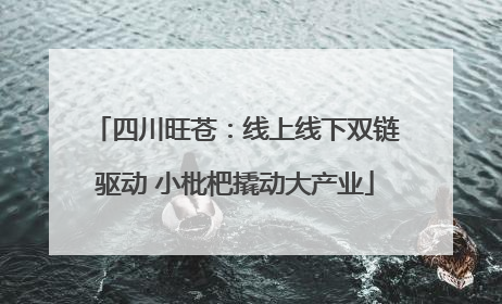 四川旺苍：线上线下双链驱动 小枇杷撬动大产业