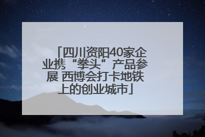 四川资阳40家企业携“拳头”产品参展 西博会打卡地铁上的创业城市