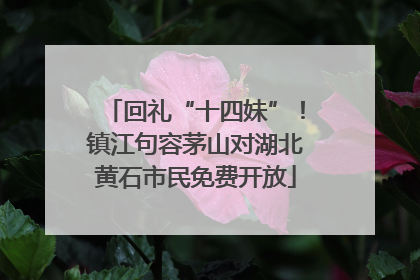 回礼“十四妹”！镇江句容茅山对湖北黄石市民免费开放