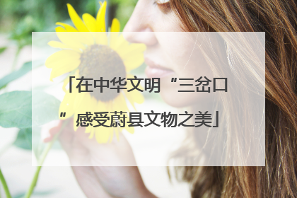 在中华文明“三岔口”感受蔚县文物之美