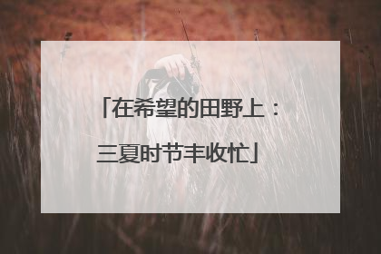 在希望的田野上：三夏时节丰收忙