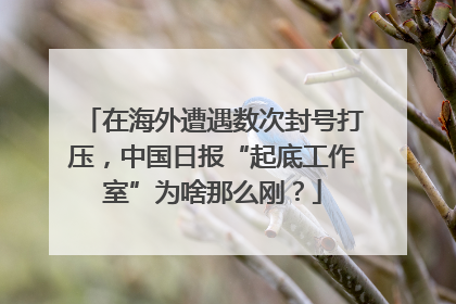 在海外遭遇数次封号打压，中国日报“起底工作室”为啥那么刚？