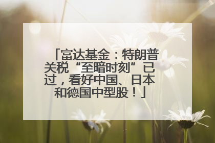 富达基金：特朗普关税“至暗时刻”已过，看好中国、日本和德国中型股！