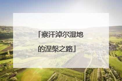 察汗淖尔湿地的涅槃之路