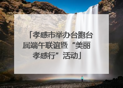 孝感市举办台胞台属端午联谊暨“美丽孝感行”活动