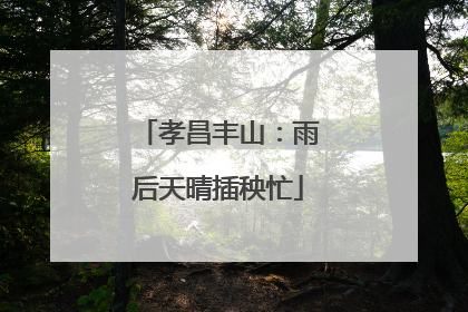 孝昌丰山：雨后天晴插秧忙