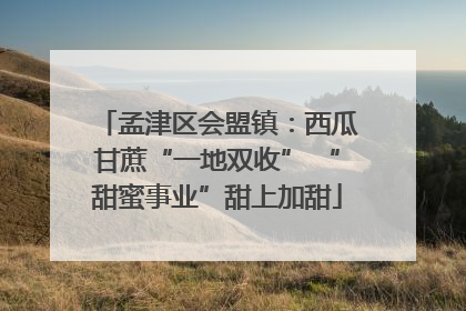 孟津区会盟镇：西瓜甘蔗“一地双收” “甜蜜事业”甜上加甜