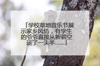 学校草地音乐节展示家乡风情，有学生的爷爷直接从新疆空运了一头羊……