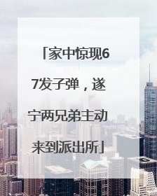 家中惊现67发子弹，遂宁两兄弟主动来到派出所