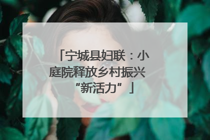 宁城县妇联：小庭院释放乡村振兴“新活力”