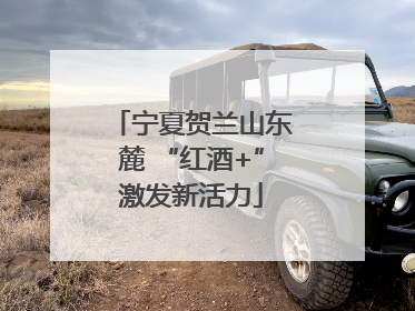 宁夏贺兰山东麓 “红酒+”激发新活力