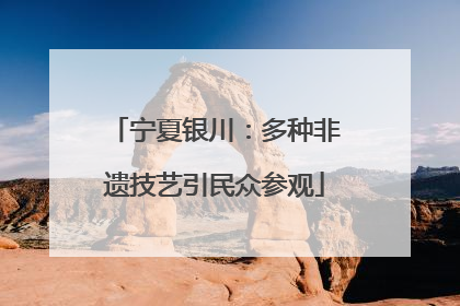 宁夏银川：多种非遗技艺引民众参观