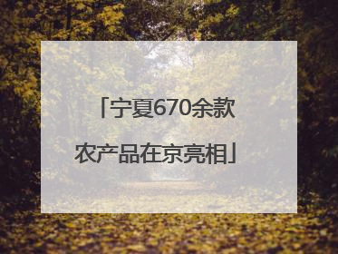 宁夏670余款农产品在京亮相