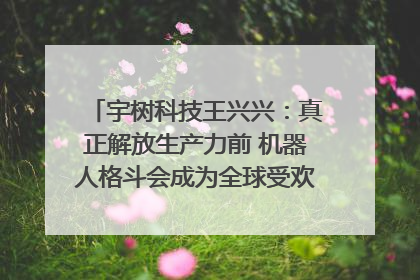 宇树科技王兴兴：真正解放生产力前 机器人格斗会成为全球受欢迎的赛事｜科技观察
