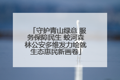 守护青山绿意 服务保障民生 蛟河森林公安多维发力绘就生态惠民新画卷