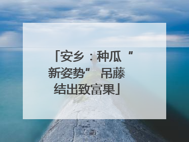 安乡：种瓜“新姿势” 吊藤结出致富果