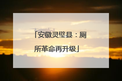安徽灵璧县：厕所革命再升级