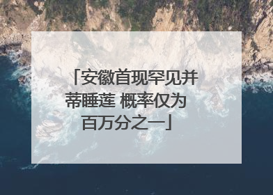安徽首现罕见并蒂睡莲 概率仅为百万分之一