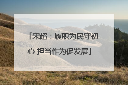 宋超：履职为民守初心 担当作为促发展