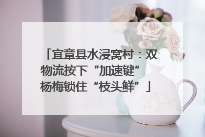宜章县水浸窝村：双物流按下“加速键” 杨梅锁住“枝头鲜”