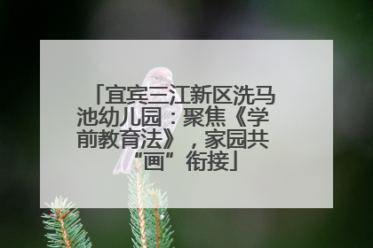 宜宾三江新区洗马池幼儿园：聚焦《学前教育法》，家园共“画”衔接