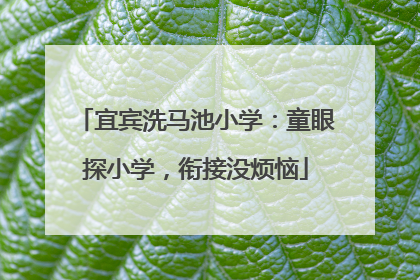 宜宾洗马池小学：童眼探小学，衔接没烦恼