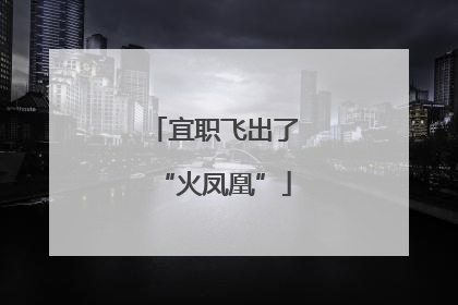 宜职飞出了“火凤凰”