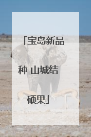 宝岛新品种 山城结硕果